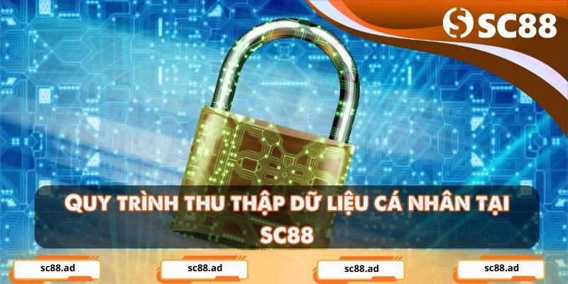 Quy trình thu thập dữ liệu cá nhân tại SC88